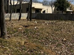 -合肥野生动物园