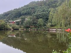 -桃花岭景区