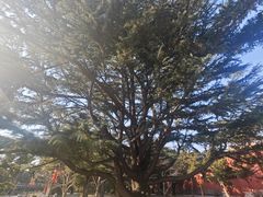 -北京市劳动人民文化宫(太庙)