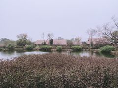 -良渚古城遗址公园