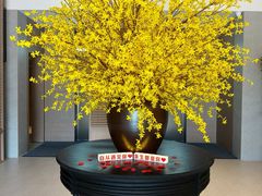 -御同亨酒楼·喜宴