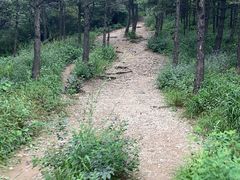 -阳台山自然风景区