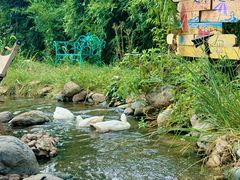 -HERRE·FARM 赫尔露营农场·团建聚会包场