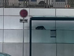 -九龙公园