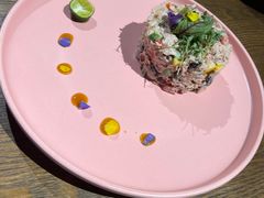 金枪鱼沙拉-百好乐宠物友好餐厅(朝外大街店)
