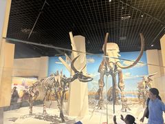 -国家自然博物馆