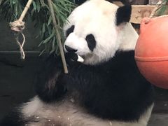 -无锡动物园·太湖欢乐园