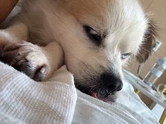 -米村拌饭(杭州国大城市广场店)