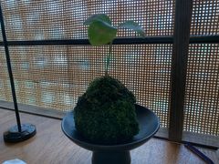 -正宗潮州鱼蛋粉(长寿西路店)