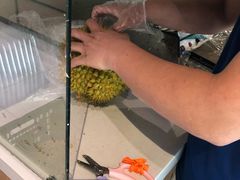 -盒马鲜生(枣园路店)
