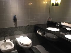 -新加坡乌节希尔顿酒店 (SG Clean)