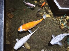 -颐和•海鲜砂锅粥•啫啫煲(奥林匹克广场店)