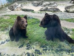 -黔灵山公园