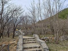 -佛慧山