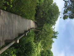江湾湿地公园-新江湾城公园