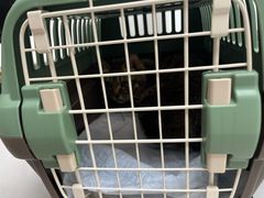 -喜多萌中农锦绣动物医院24H·猫科·牙科MRI·CT