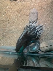 -酷嗒动物文化乐园(cutezoo西溪乐天城店)