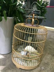 -木北护肤造型