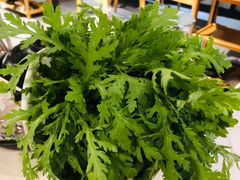 皇帝菜-狐狸爱上椰子鸡(滨江星光大道店)