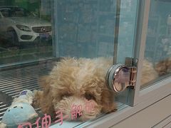 -FAELING PETS美天灵宠物(合生汇店)