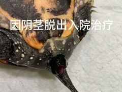 -悦宠动物医院(京丰分院)