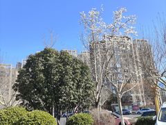 -锦龙国际酒店(天津奥体中心华苑地铁站店)