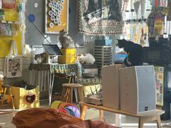 -平行世界·猫咖(首经贸店)
