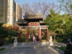-迎泽公园