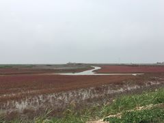 景点-红海滩国家风景廊道
