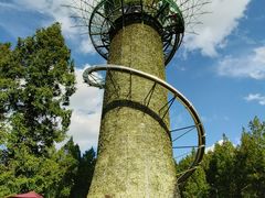 -黄海国家森林公园