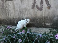 -广州市紫泥堂文化创意园景区