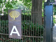 -墨尔本皇家植物园