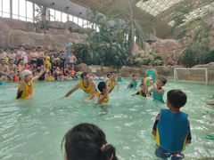 -杭州开元森泊度假乐园