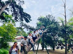 -阳台山自然风景区