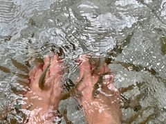 -碧水湾温泉