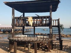 -北戴河碧螺塔海上酒吧公园