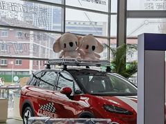 -北汽鹏龙ARCFOX极狐(国贸店)