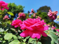 -国家植物园南园