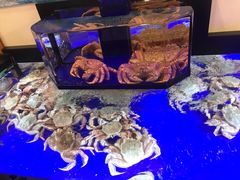 -蟹道乐(道顿堀本店)