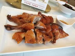 -骏莱海鲜鱼港(五角场店)
