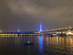 -武汉两江游览·夜游长江(汉口粤汉码头)