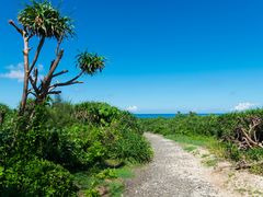 -龙坑生态保护区