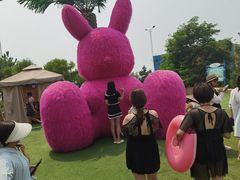 -秦皇岛乐岛海洋王国