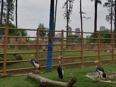 -武汉动物园