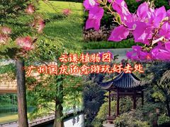 -云溪植物园