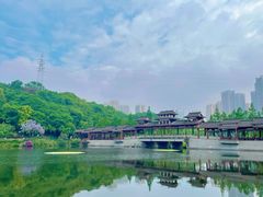 -重庆彩云湖湿地公园