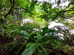 -滴水岩森林公园