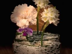 -花二家·生活馆(六运小区店)