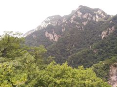 -王顺山国家森林公园