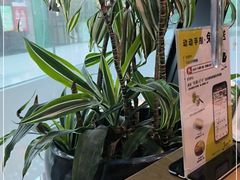 -Jazz·ya 爵士屋(来福士店)